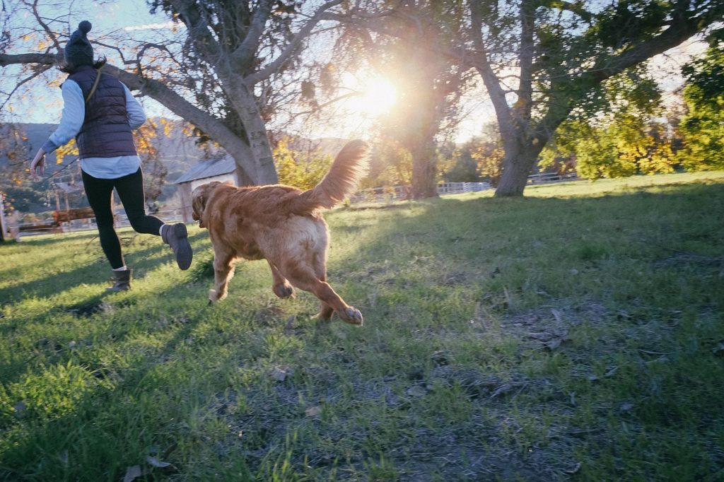 Het plezier van een gezond gewicht voor je hond.